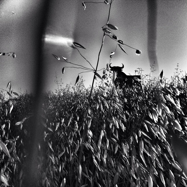 Jour 1 © José Colón de Me-Mo / Insagram pour Fisheye Magazine