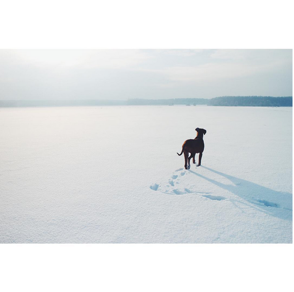 © Agata Wruk / Instagram