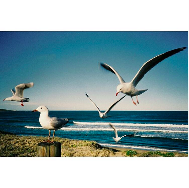 © Michael Garbutt / Instagram