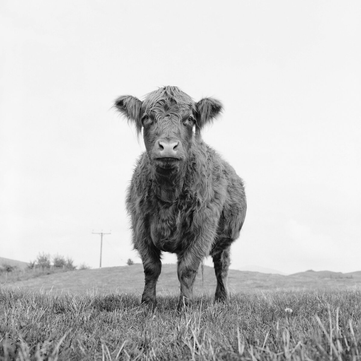 © Ursula Böhmer