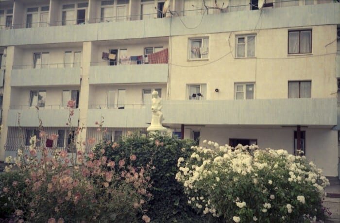 12_kouritniee