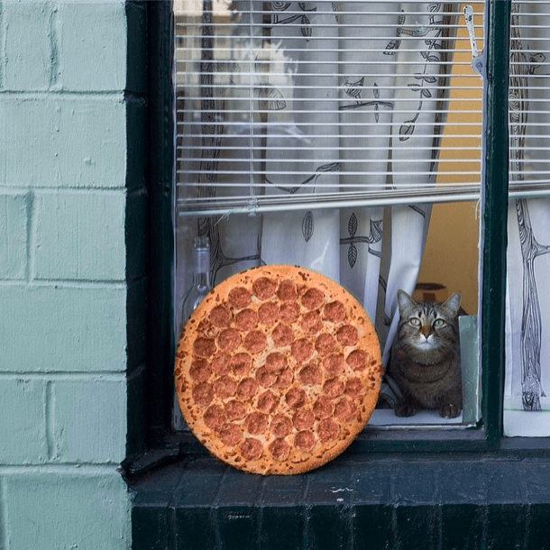 © Jonpaul Douglass.