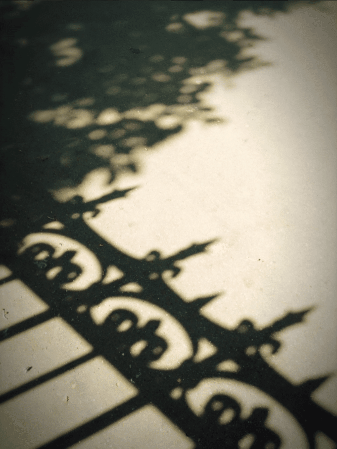 © Manabu Matsunaga.