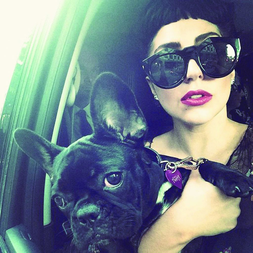 Lady-gaga_visuel_galerie2_ab