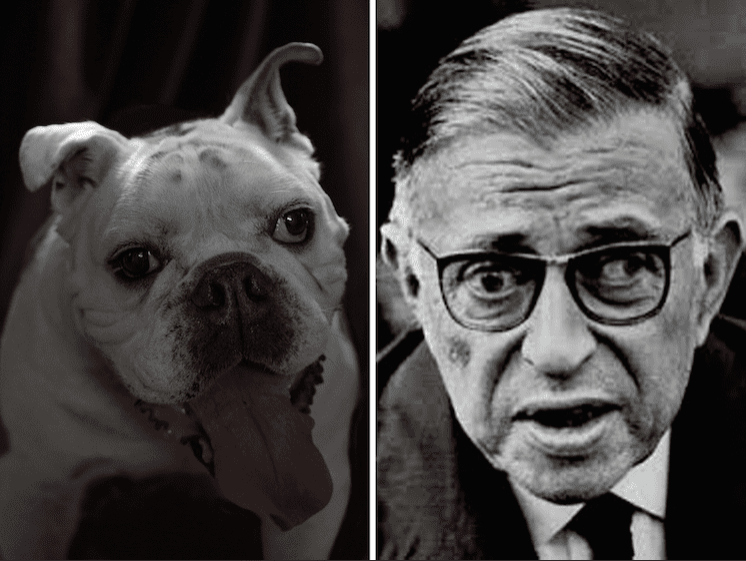 Dan-Bannino-Sartre-Fisheyemag