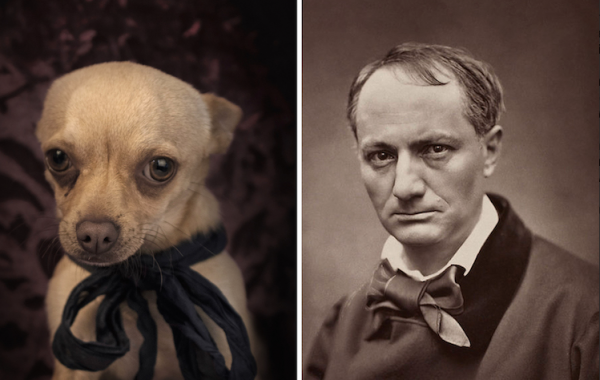 Fisheye Magazine | Il transforme des chiens abandonnés en auteurs célèbres