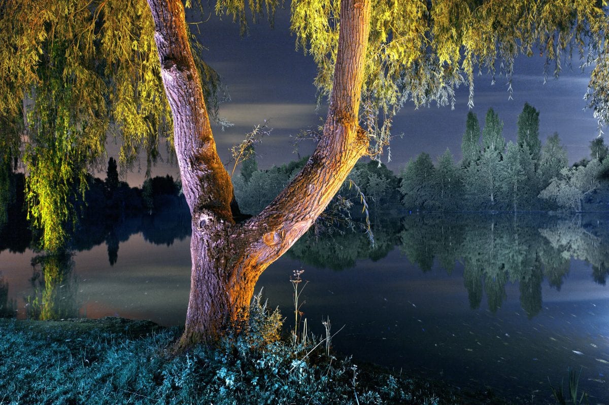 Fisheye Magazine | Nuits chromatiques