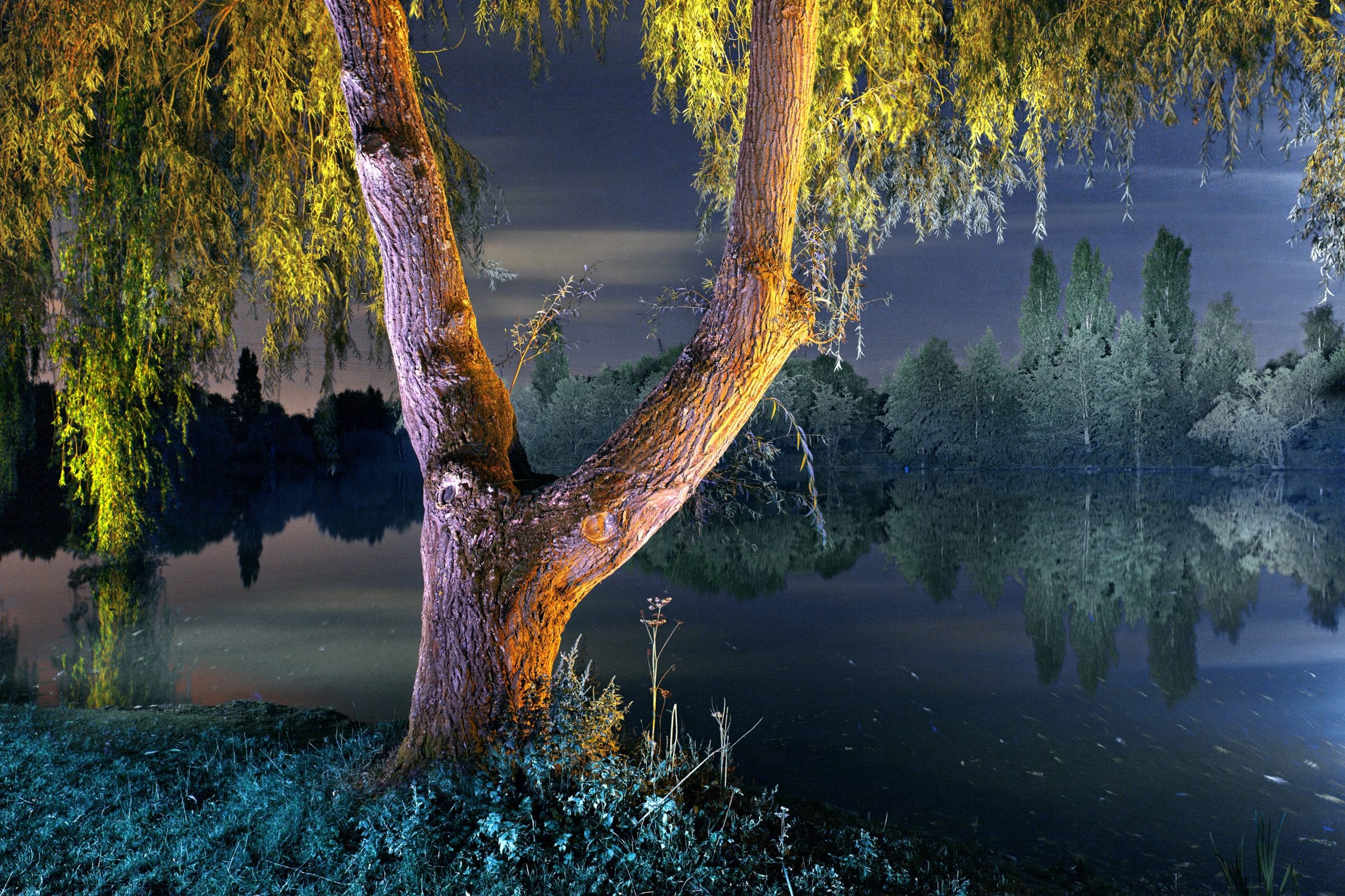 Fisheye Magazine | Nuits chromatiques
