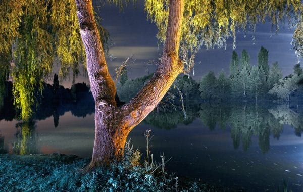 Fisheye Magazine | Nuits chromatiques