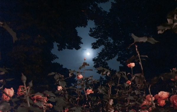 Fisheye Magazine | The Poems - how to disappear completely