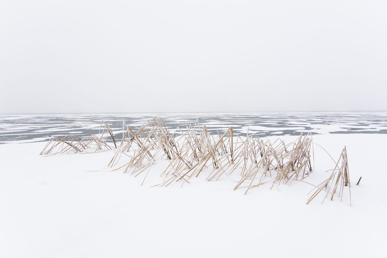 Fisheye Magazine | Winter return