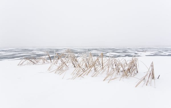 Fisheye Magazine | Winter return