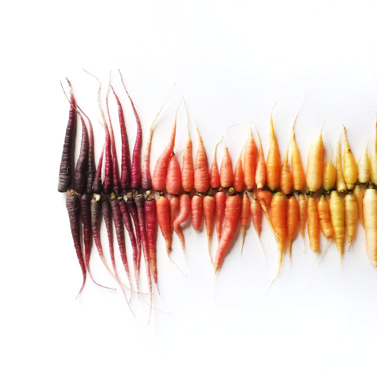 Brittany-Wright-Food-Gradients12-fisheyelemag