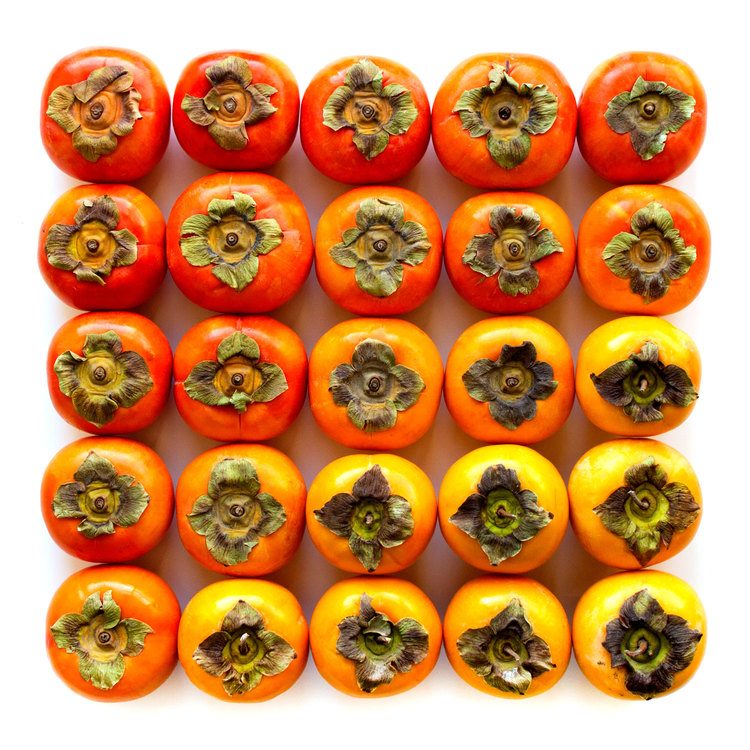 Brittany-Wright-Food-Gradients2-fisheyelemag