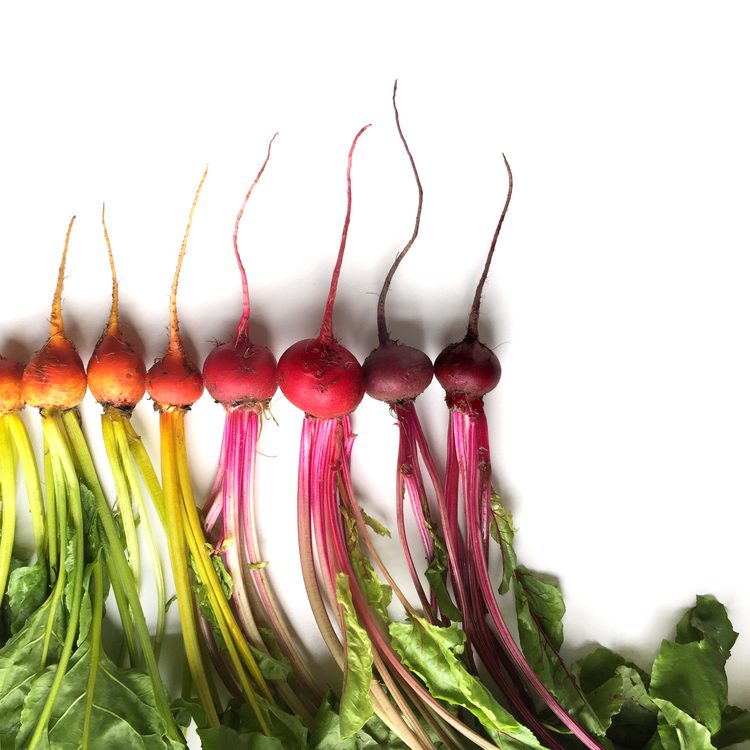 Brittany-Wright-Food-Gradients5-fisheyelemag