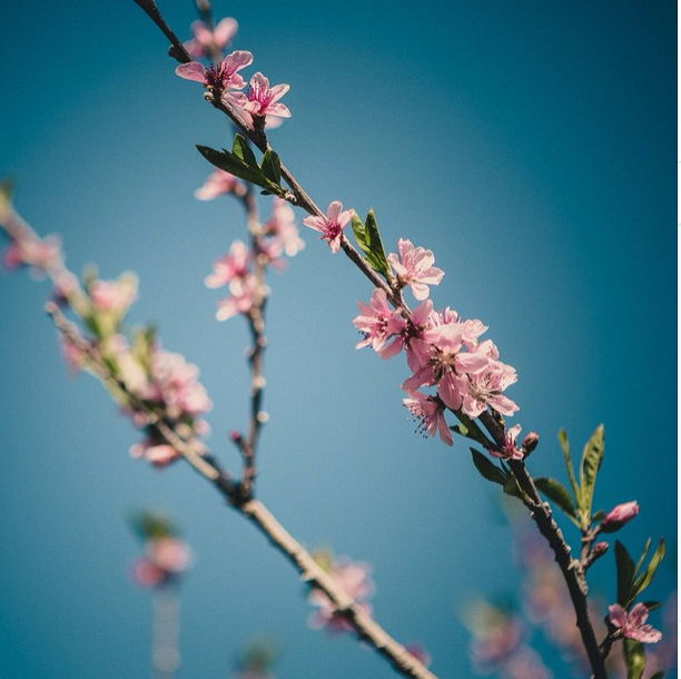 Copyright / @erikbphoto