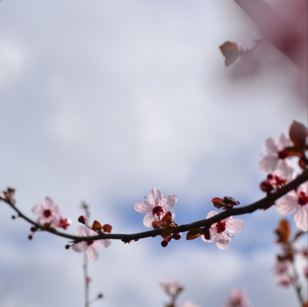 Copyright / @mg_photographe