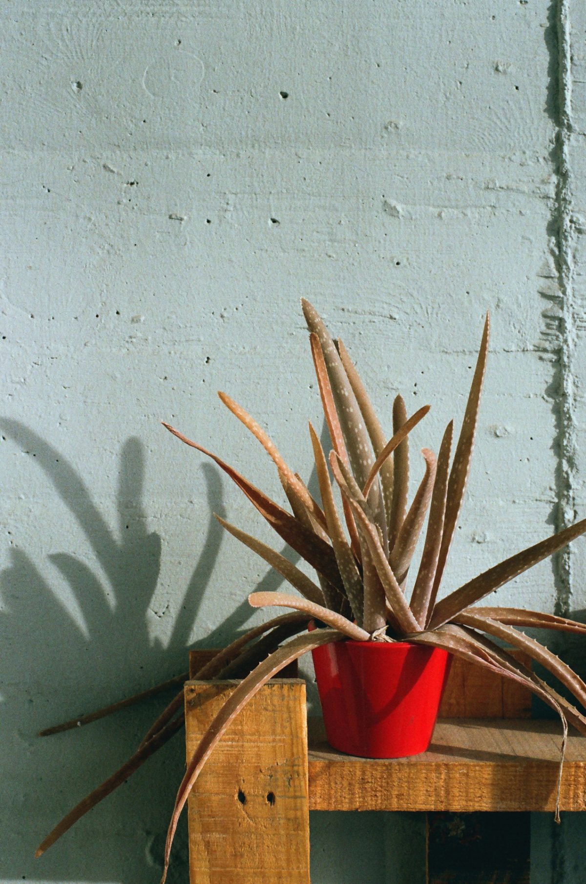 © Maud-Sophie Andrieux