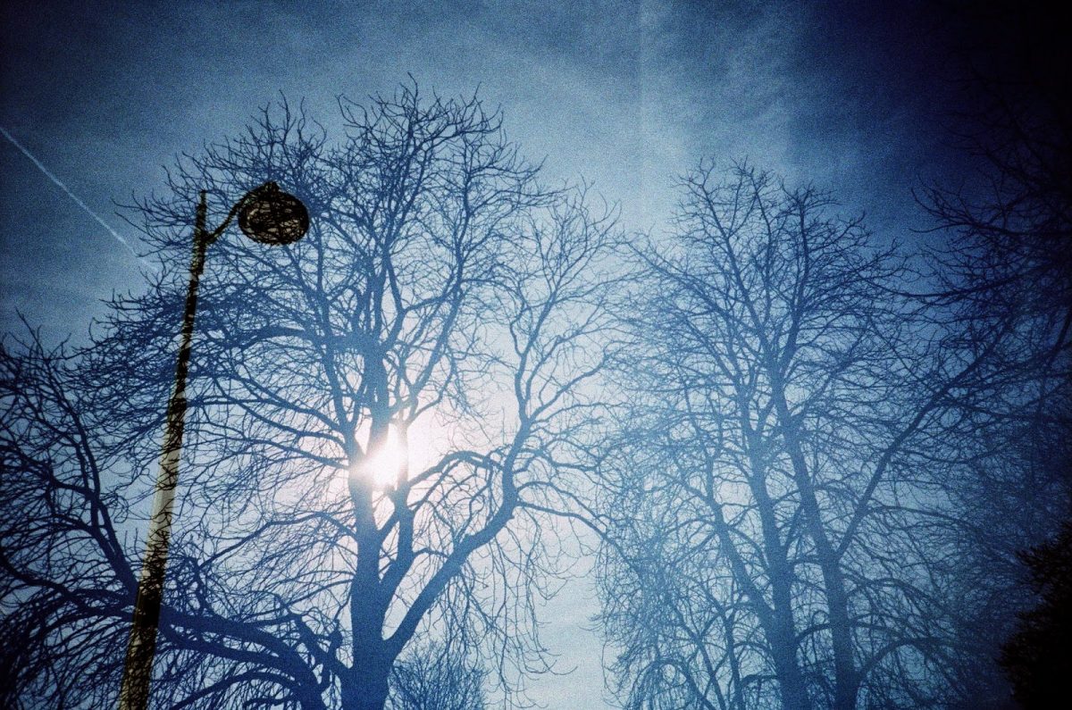 © Nathalie Merluzzi 