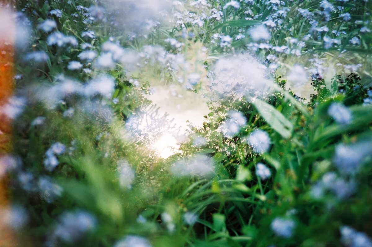 © Nathalie Merluzzi 
