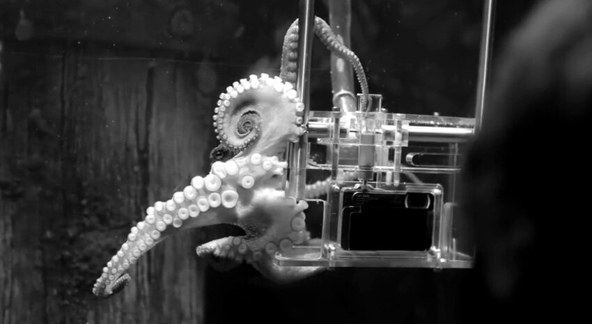 Capture d'écran