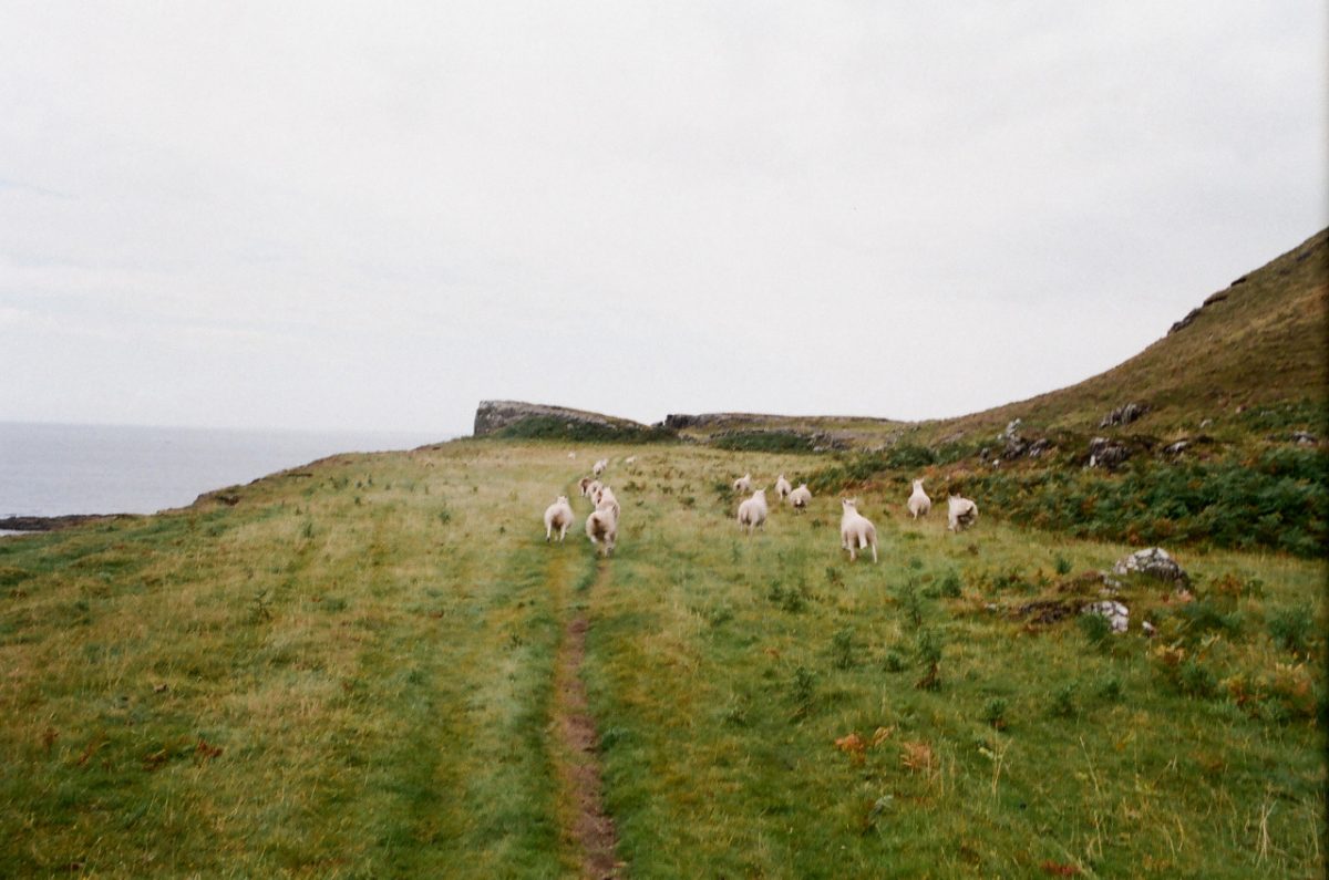 © Quentin Clouet, Léa Lapey