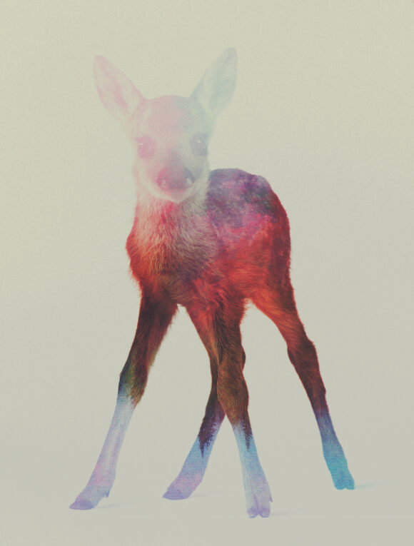 © Andreas Lie