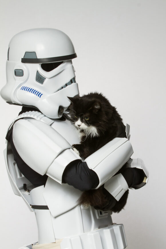© Rohit Saxena / Ottawa Humane Society