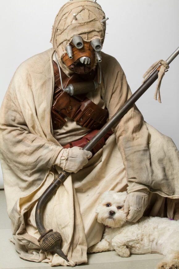 © Rohit Saxena / Ottawa Humane Society