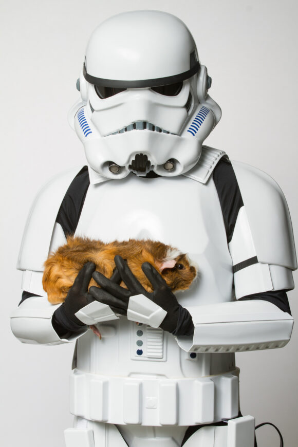 © Rohit Saxena / Ottawa Humane Society