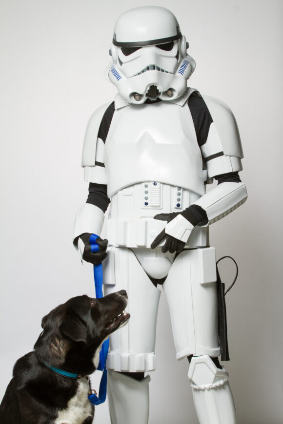 © Rohit Saxena / Ottawa Humane Society