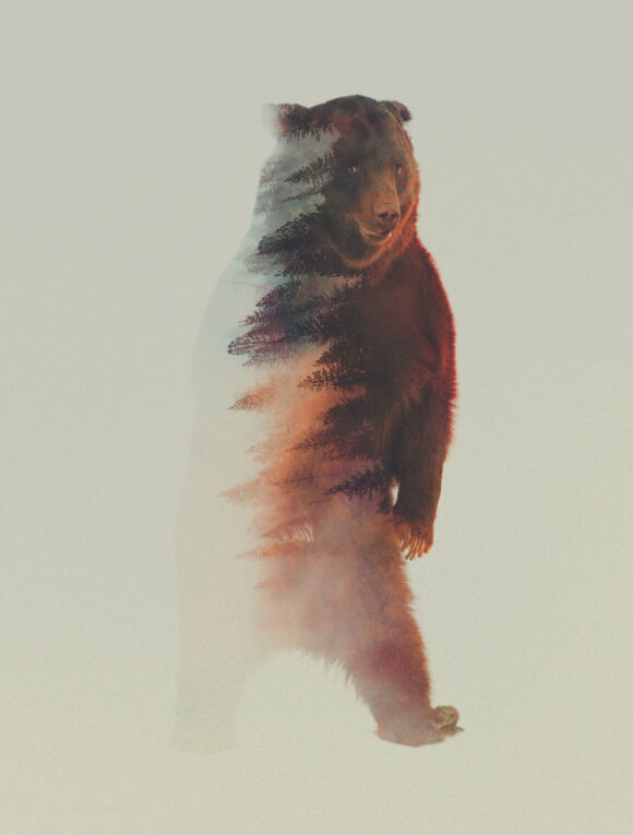 © Andreas Lie
