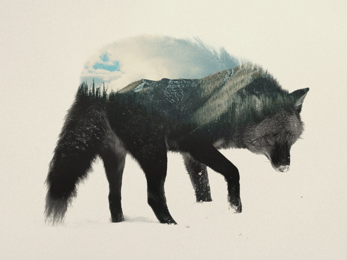 © Andreas Lie
