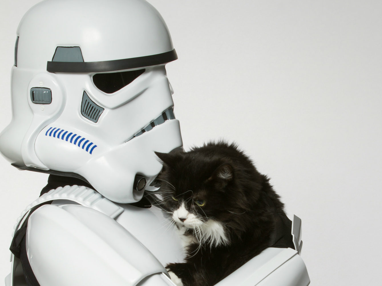© Rohit Saxena / Ottawa Humane Society