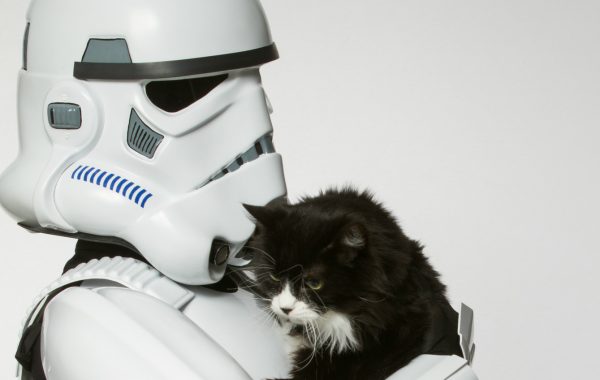 © Rohit Saxena / Ottawa Humane Society