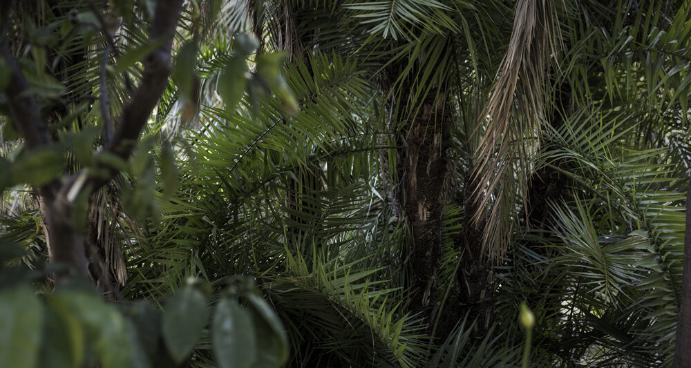 Fisheye Magazine | La programmation art contemporain & photographique 2015