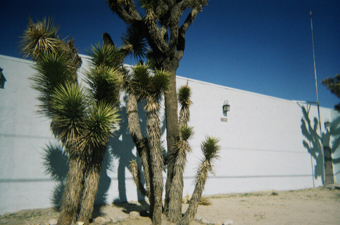 collectif-paien-7777-californie-arizona-fisheyelemag-1