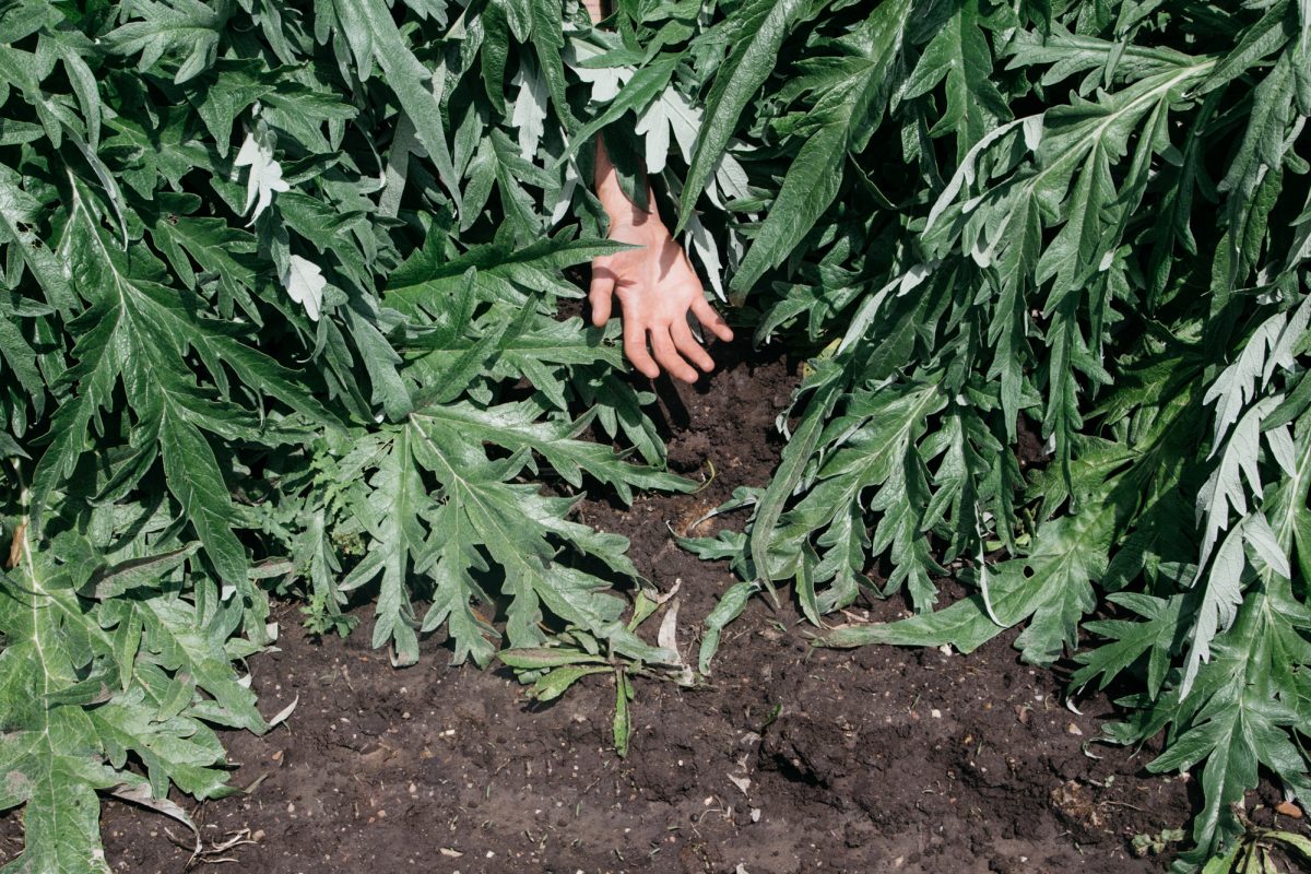 Photo extraite de la série "I" © Dylanne Lee