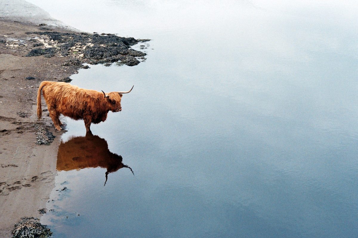 izberginscotland_11_fisheyelemag