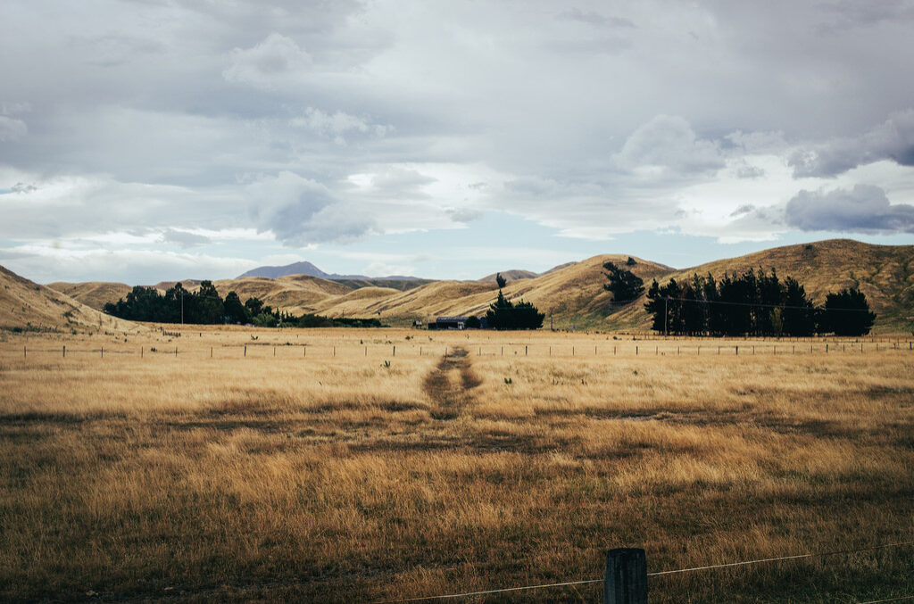 © Julien Cannevet 
