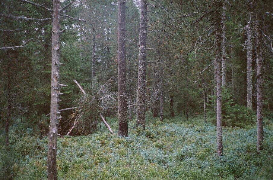 © Julien Lacroix