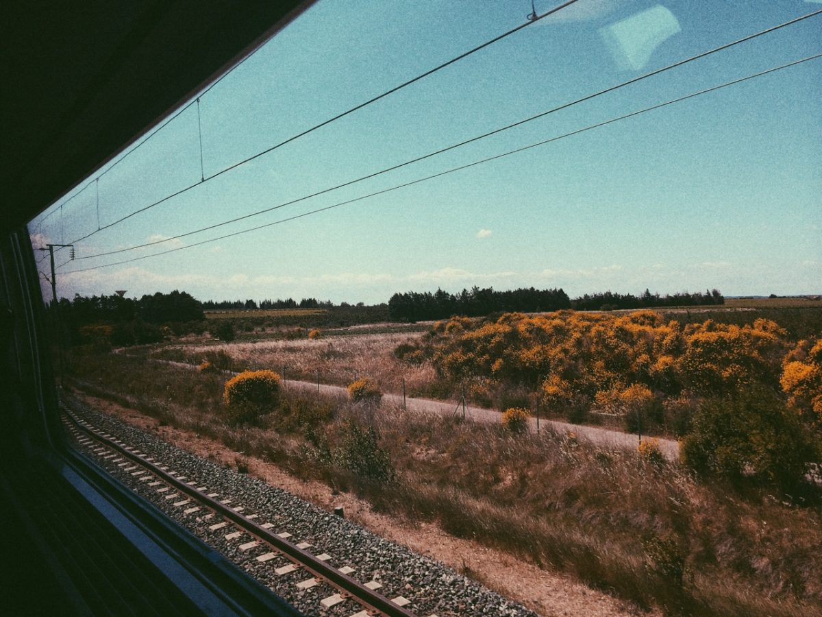 © Laura Connesson
