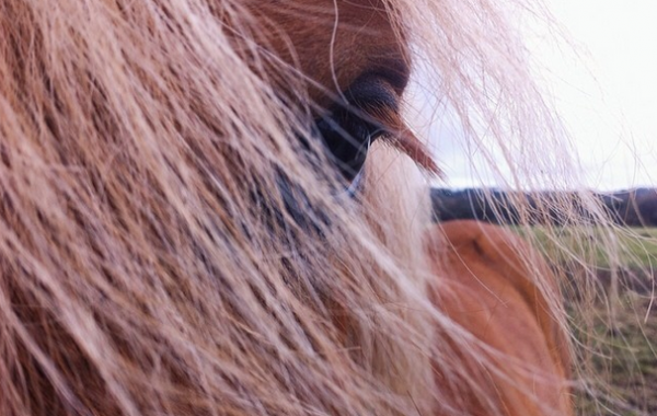 Fisheye Magazine | #Fisheye_hair