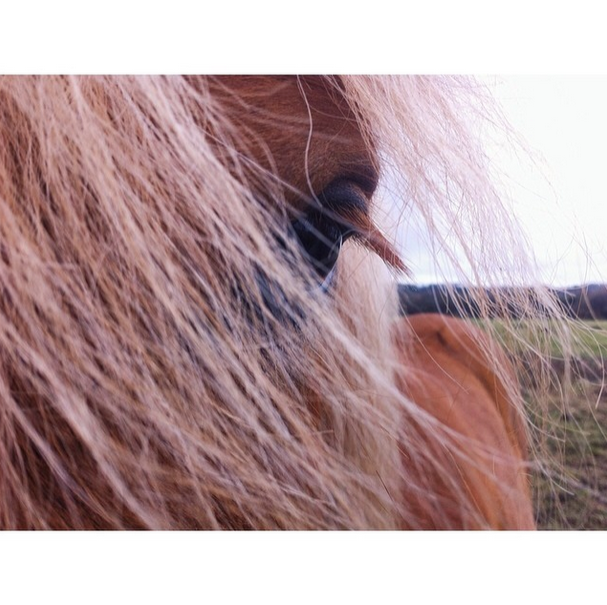 Fisheye Magazine | #Fisheye_hair