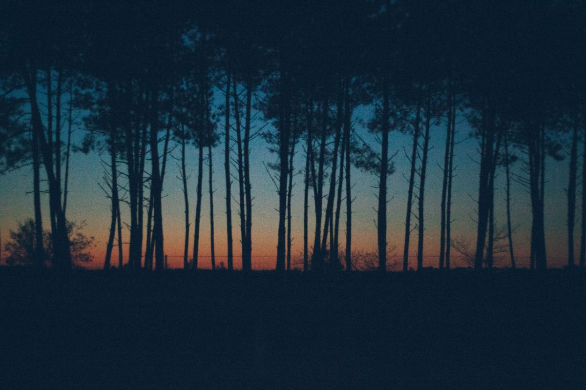 © Paul Cariou 