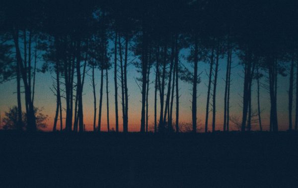 Fisheye Magazine | Les coups de cœur #35