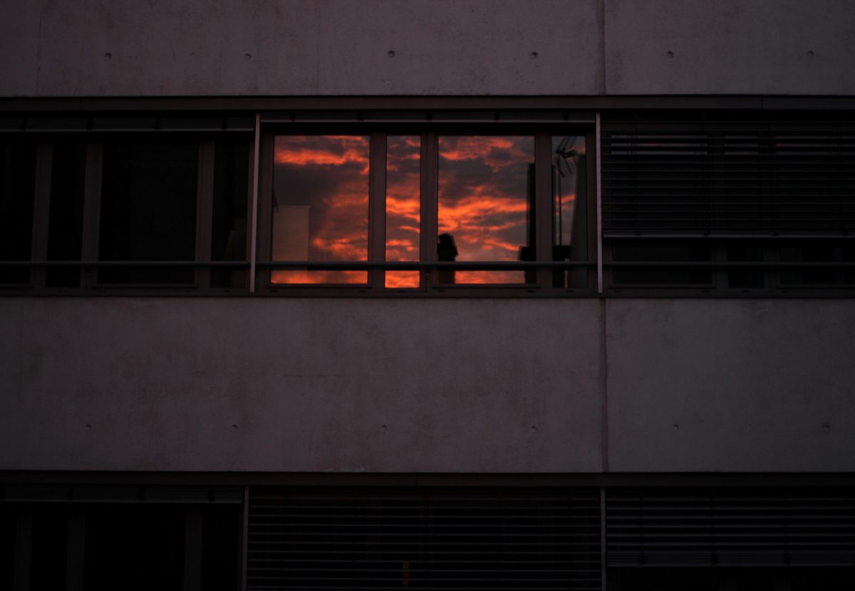 © Pauline Gallot 