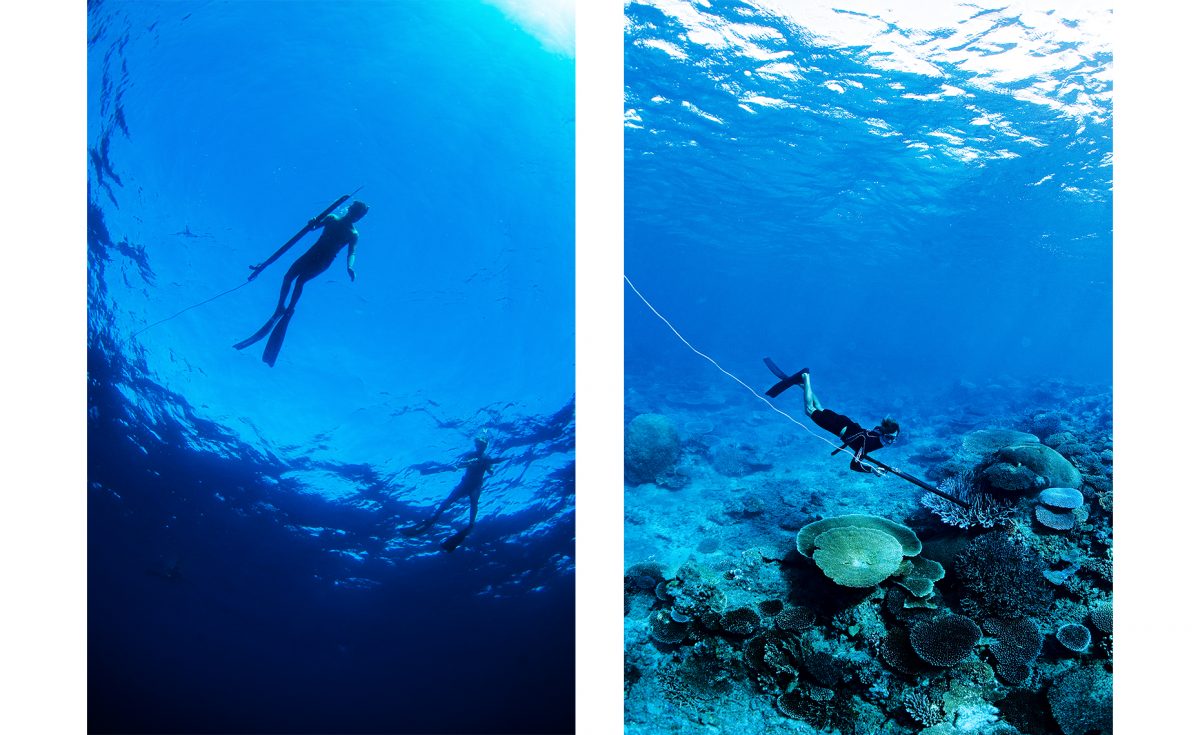 Fisheye Magazine | Underwater
