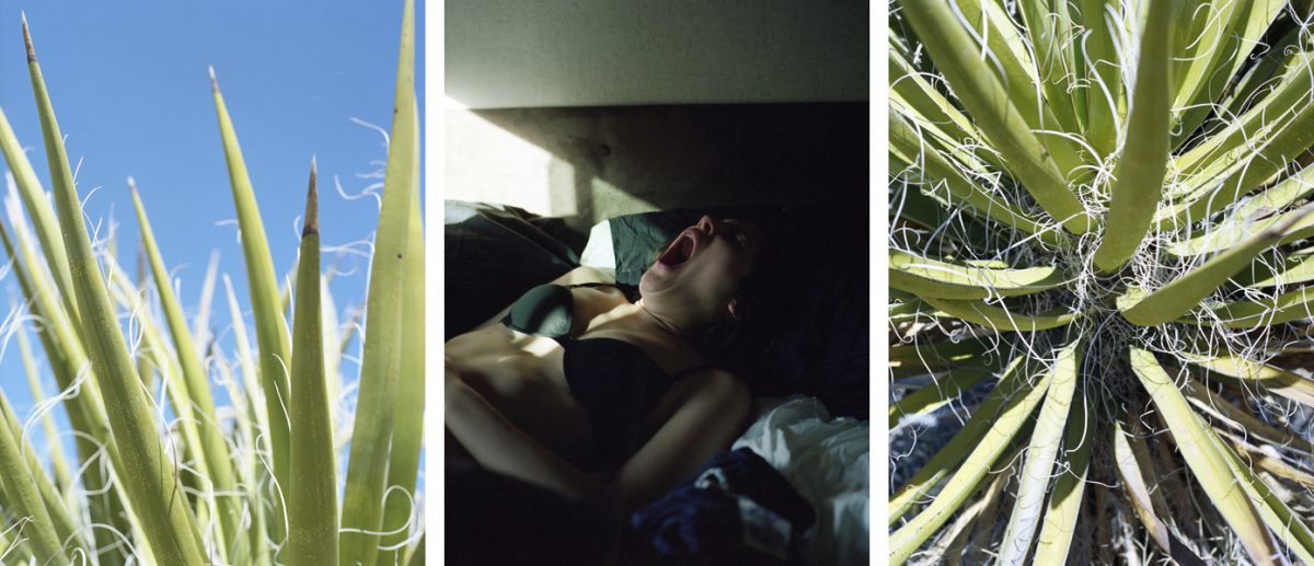 Fisheye Magazine | The Third Wheel