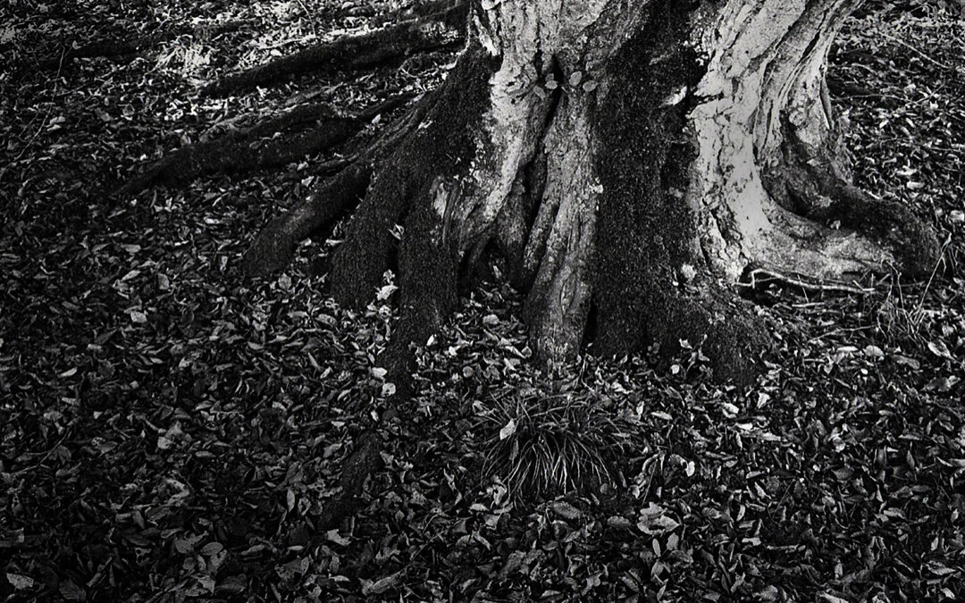 CharlotteZobel_image3